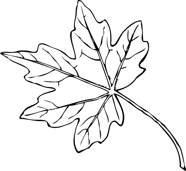 Black Maple Leaf Tattoo Stencil