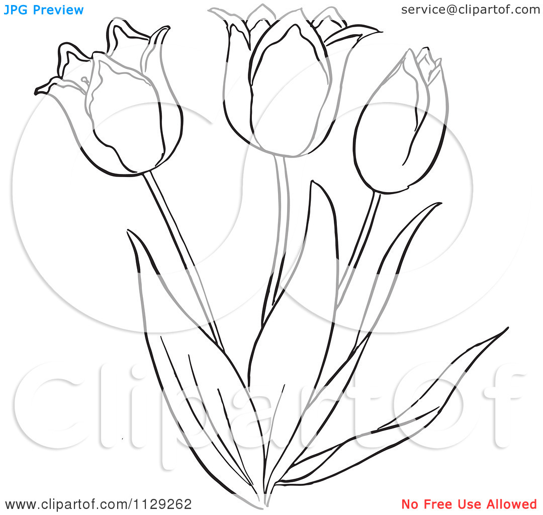 Black Three Tulip Flower Tattoo Design