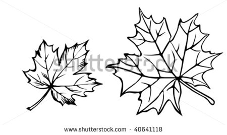 Black Two Maple Leaf Tattoo Stencil