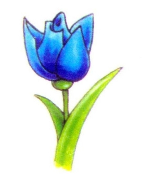 Blue Tulip Flower Tattoo Design