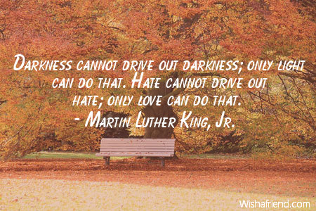Darkness cannot drive out darkness; only light can do that. Hate cannot drive out hate; only love can do that. (3)
