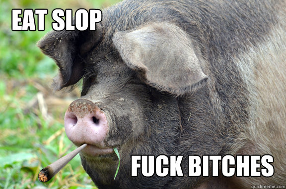 Eat Slop Fuck Bitches Funny Pig Meme