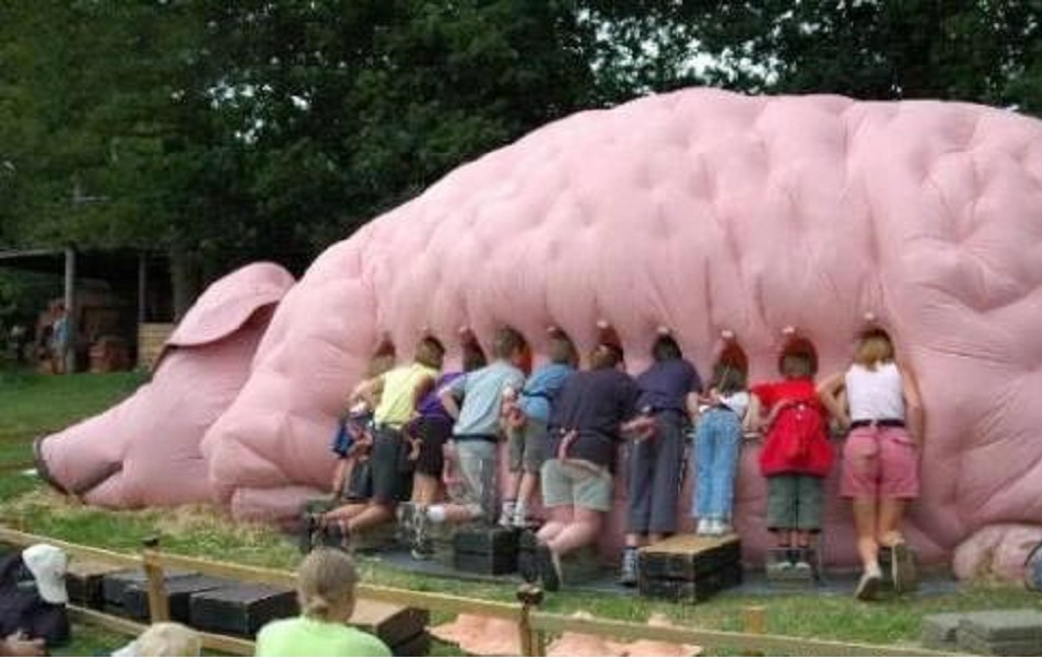 Funny Giant Pig Statue