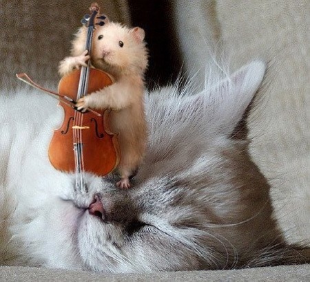 Funny Mouse Playing Violin