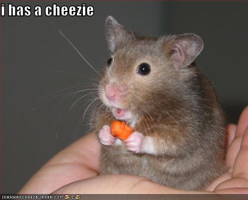 Funny Mouse With Carrot