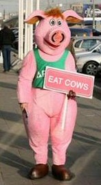 Funny Pig Costume