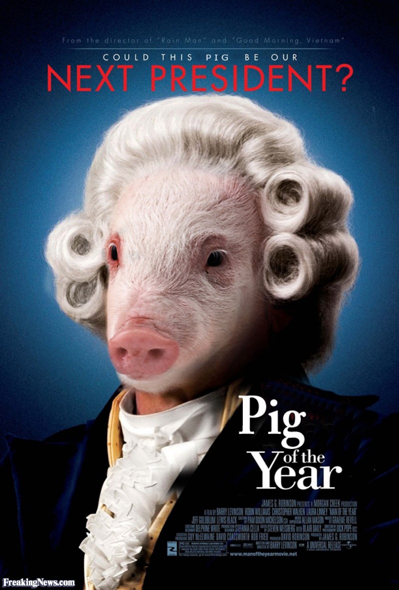 Funny Pig Of The Year
