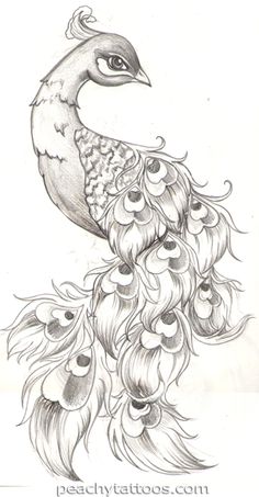 Grey Ink Peacock Tattoo Design