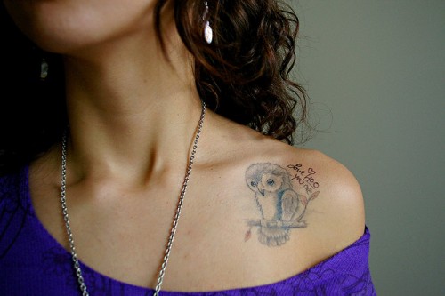 Grey Owl Tattoo On Girl Collarbone