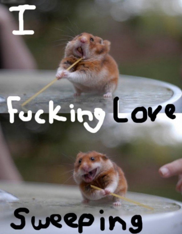 I Fucking Love Sweeping Funny Mouse Picture
