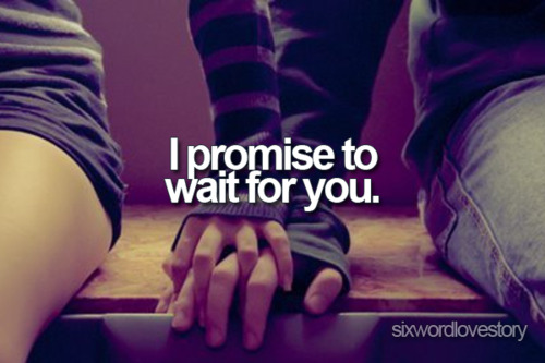 I Promise To Wait For You