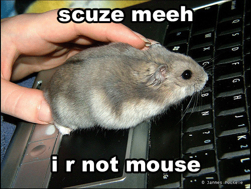 I R Not Mouse Funny Picture