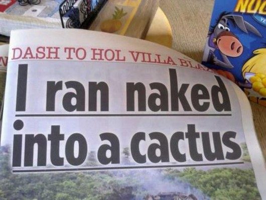 I Ran Naked Into A Cactus Funny Random Image