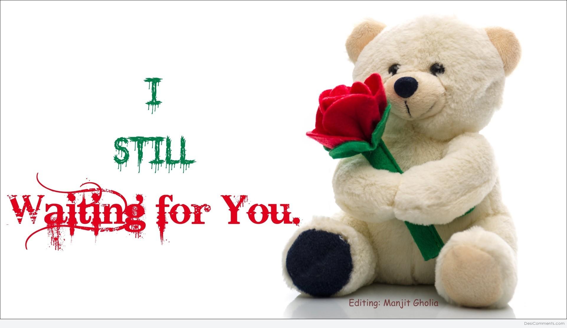 I Still Waiting For You Teddy Bear With Rose Flower