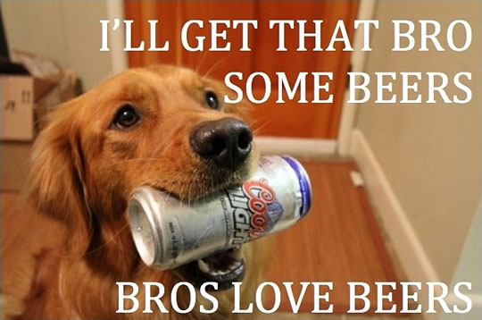 I Will Get That Bro Some Beers Funny Image