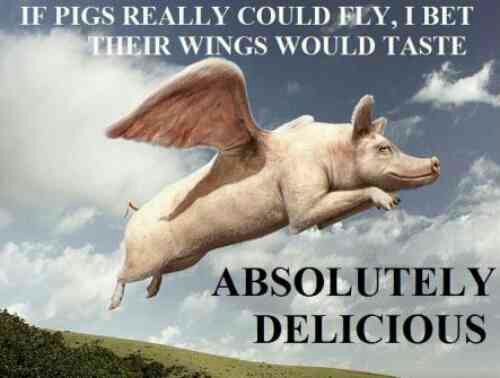 If Pigs Really Could Fly Funny Pig Meme