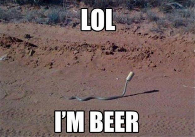 Lol I Am Beer Funny Image
