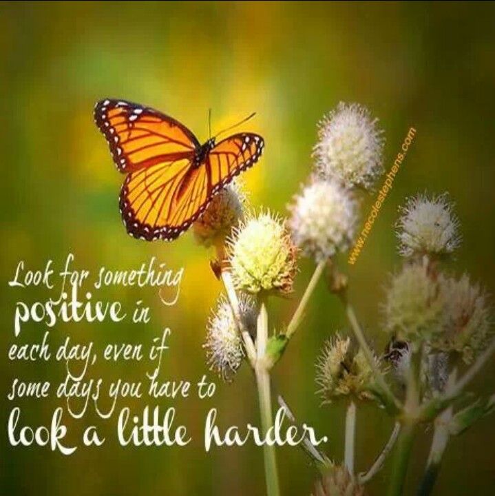 Look for something positive in each day, even if some days you have to look a little harder. (6)