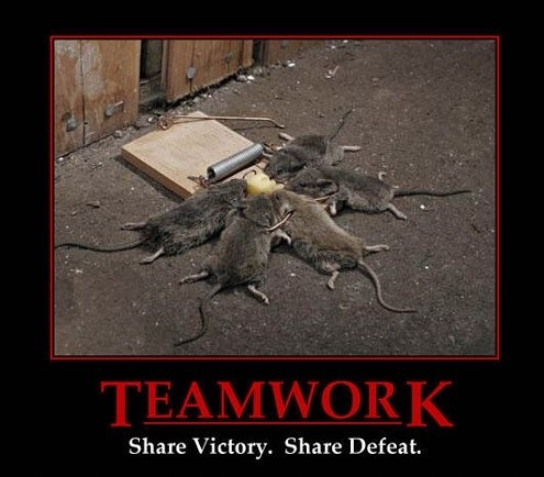 Mouse Funny Teamwork Poster
