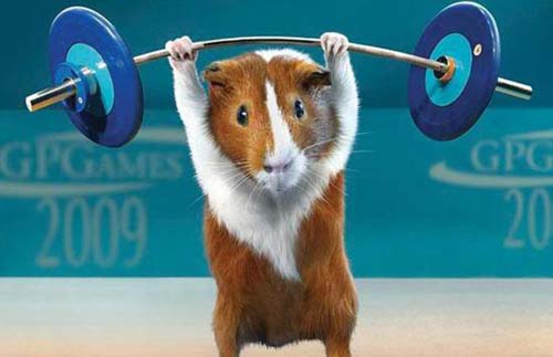 Mouse Funny Weightlifting Picture