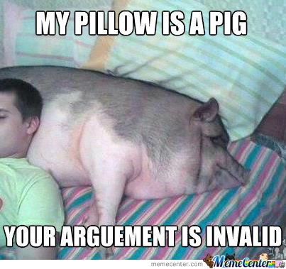 My Pillow Is A Pig Funny Meme