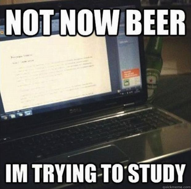 Not Now Beer I Am Trying To Study Funny Meme