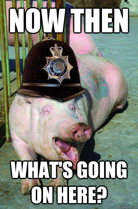 Now Then What's Going On The Here Funny Pig Meme