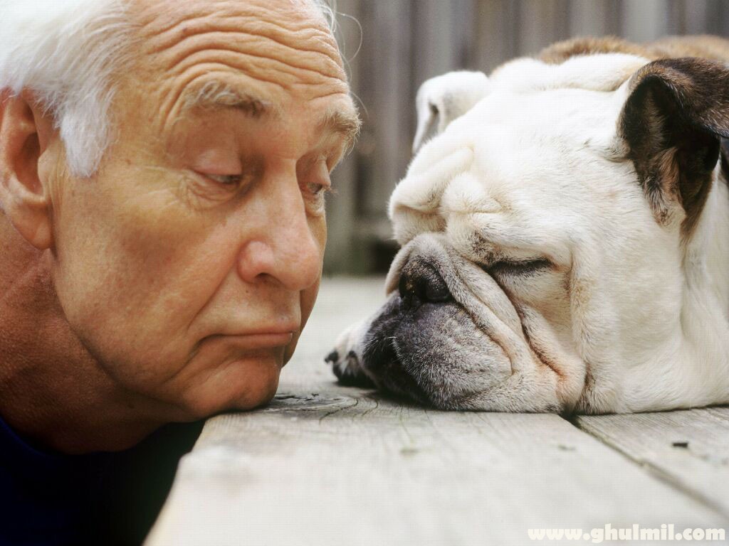 Old Man With Old Dog Funny Picture