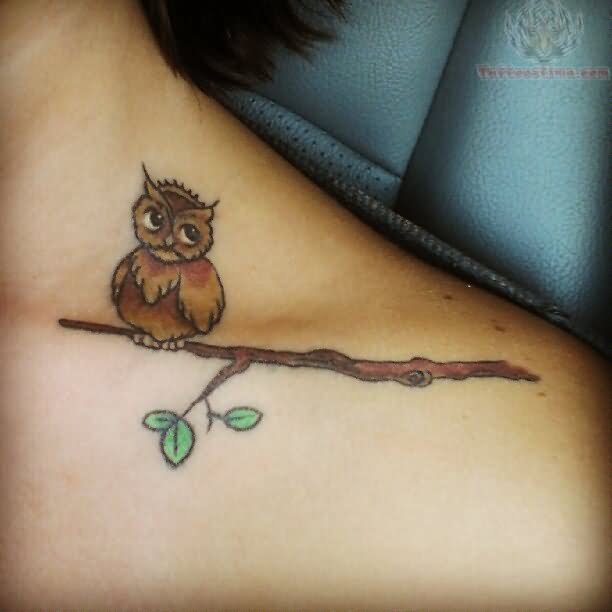 Owl Sit On Branch Tattoo On Collarbone