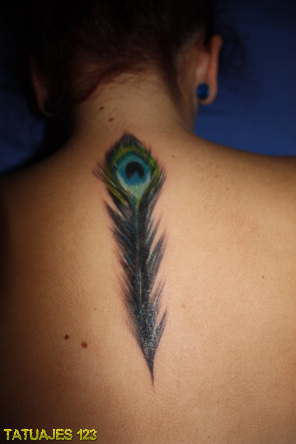 Peacock Feather Tattoo On Girl Upper Back