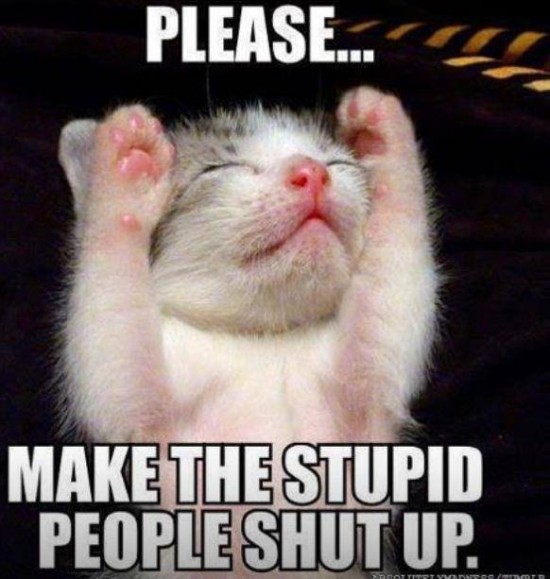 Please Make The Stupid People Shut Up Cat Picture
