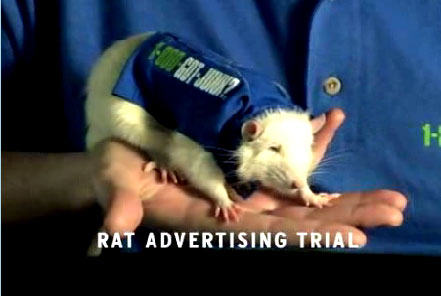 Rat Advertising Trial Funny Commercial Picture