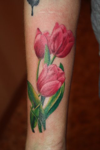 Red Three Tulip Flowers Tattoo On Forearm