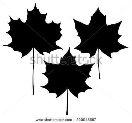 Silhouette Three Maple Leaf Tattoo Design