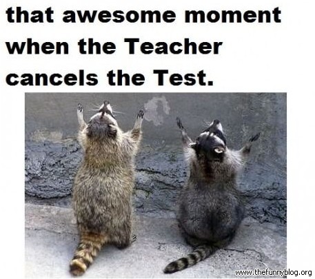 That Awesome Moment When The Teacher Cancels The Test Funny School Picture