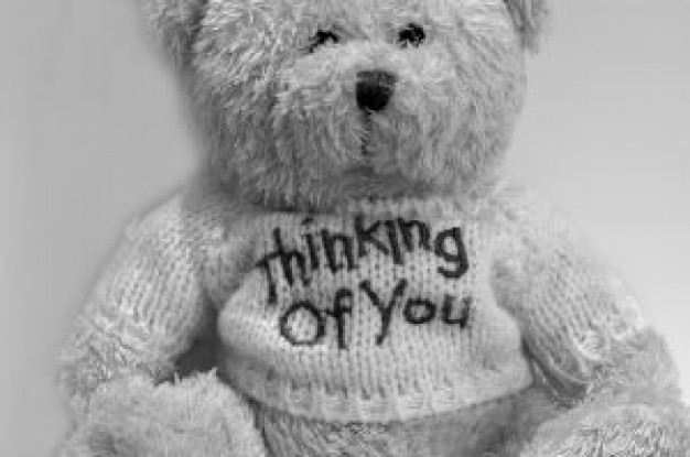 Thinking Of You Teddy Bear Picture