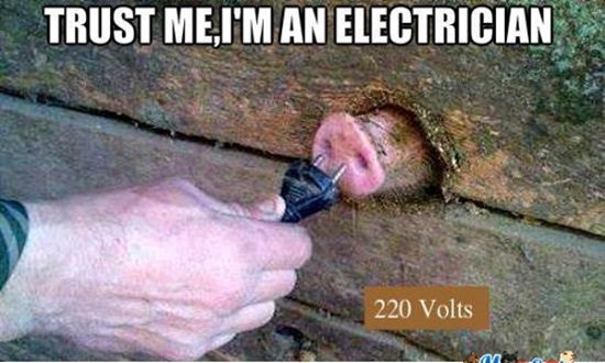 Trust Me I Am An Electrician Funny Pig Caption