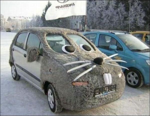 Very Funny Mouse Car Picture