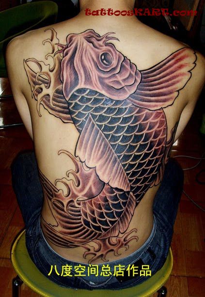 8 Best Koi Tattoo Images, Pictures And Ideas