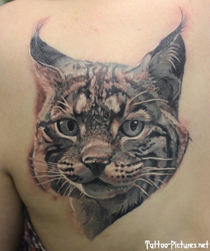 3D Lynx Head Tattoo On Left Back Shoulder