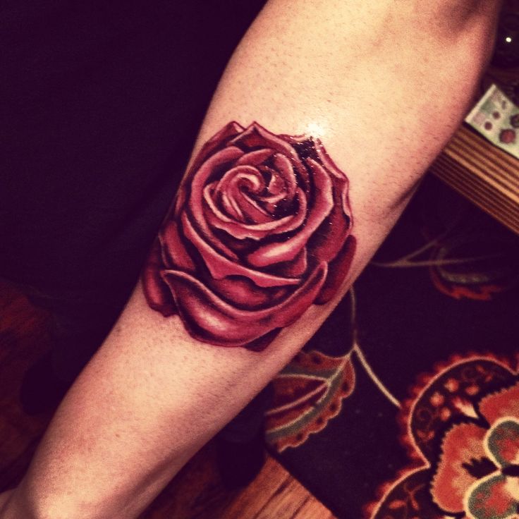 Amazing 3D Red Rose Tattoo On Forearm