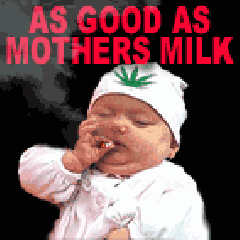 As Good As Mother Milk Funny Smoking Baby Gif Image