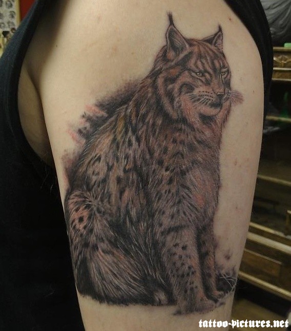 Awesome Lynx Tattoo On Left Half Sleeve