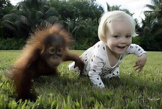 Baby Girl With Monkey Funny Picture