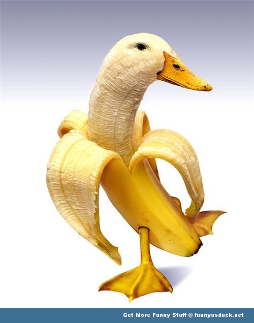 Banana With Funny Duck Face