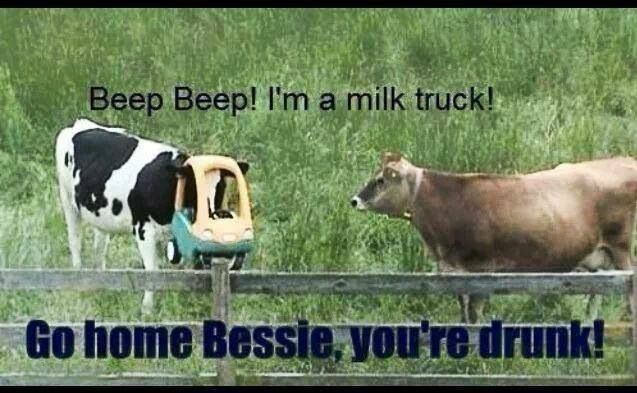 Beep Beep I Am A Milk Truck Funny Cow Meme