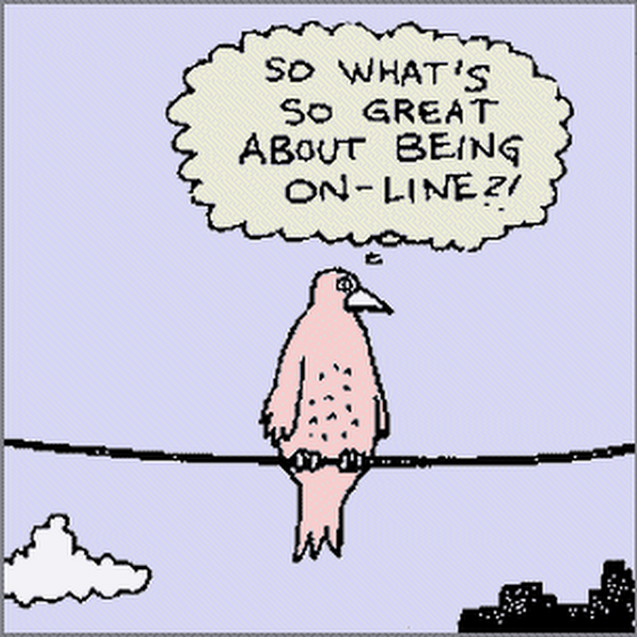 Bird Goes Online Funny Picture