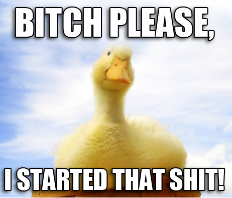 Bitch Please I Started That Shit Funny Duck Meme
