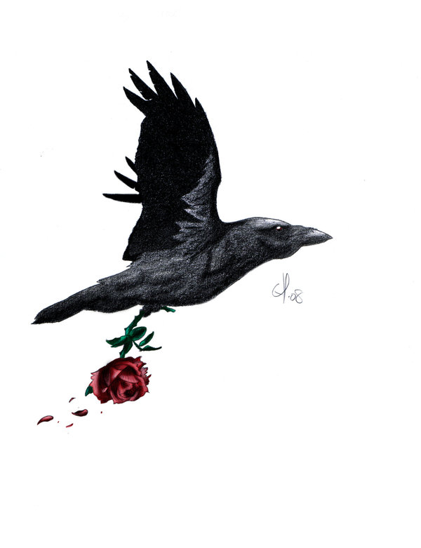 Black And Grey Flying Raven With Rose In Claw Tattoo Design