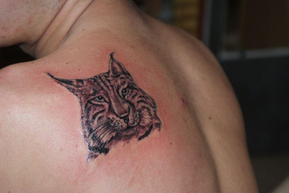 Black And Grey Lynx Head Tattoo On Left Back Shoulder